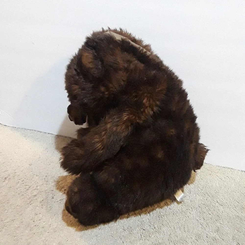 RARE VINTAGE DISNEY PARKS DISNEYLAND COUNTRY BEAR 16